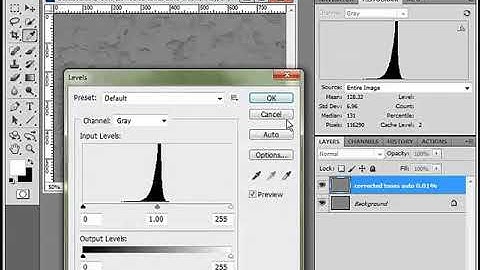 025 Tonal Adjustment Auto Method Microscope Images