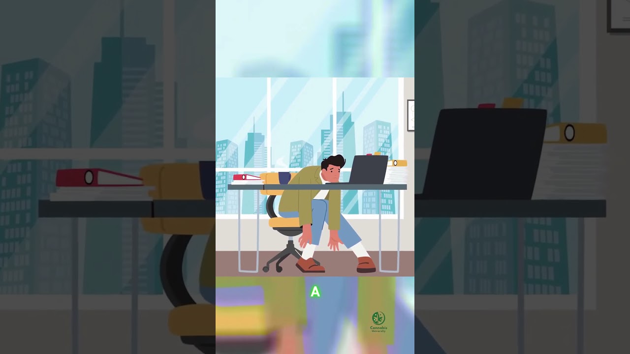 Crunch Berries: The Sweet Indica Hybrid You Need to Try in 2024