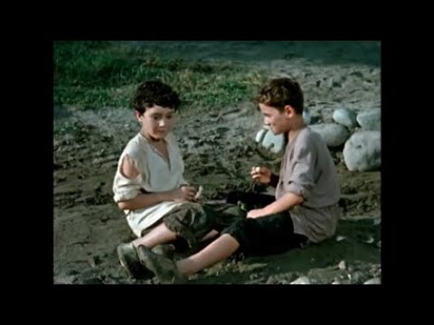 \'მამლუქი\' - ხვიჩა და გოჩა (mamluqi)