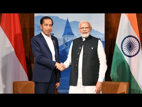 PM Modi's bilateral meeting with President Joko Widodo of Indonesia