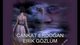 CANKAT ERDOĞAN - ERİK GÖZLÜM Resimi