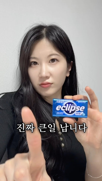 이클립스 좋아하는 사람 주의하세요!