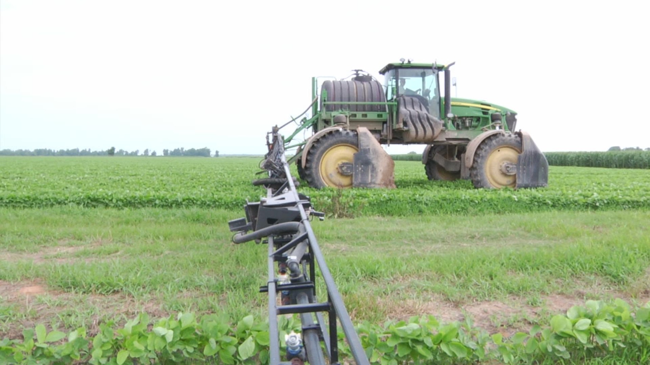 Dicamba Restrictions Arkansas State Plant Board YouTube