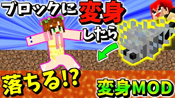 マインクラフトシルバーフィッシュきょうか Mp3