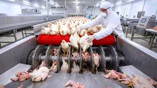 Inside Pet Food Factory | From Chicken to Premium Kibble &amp; Canned Food New Process