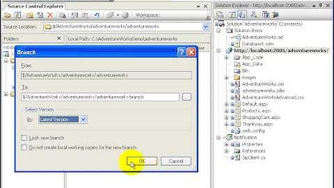 Intro to Version Control Branching