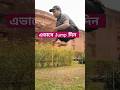 jump exercise #shorts #shortfeed #jump #jumping #jumpscare #viralshort #susbcribers #suscribe