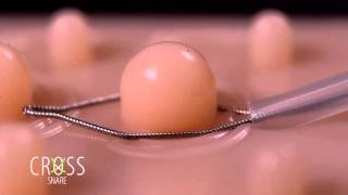 CrossSnare Features (English) [1080p Full HD]