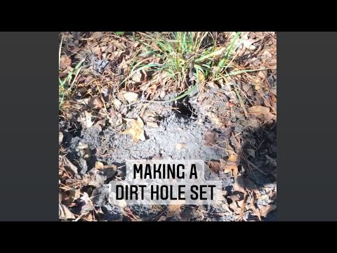Coyote trapping - making a dirt hole set - trap location - trap ...