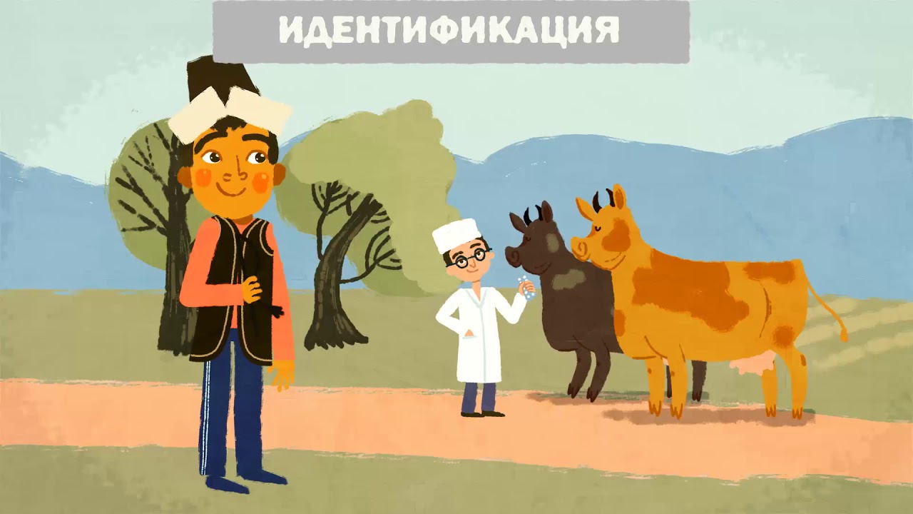 identification of livestock