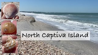 North Captiva Island Florida. What to expect on a shelling and beachcombing on a local tour.