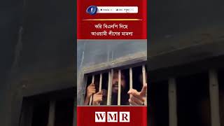 করি বিএনপি দিছে আওয়ামী লীগের মা'ম'লা