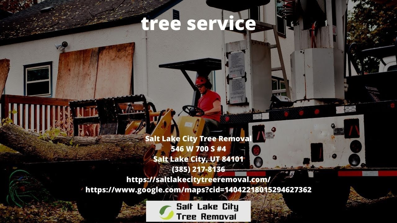 Tree Service - Salt Lake City Tree Removal - YouTube