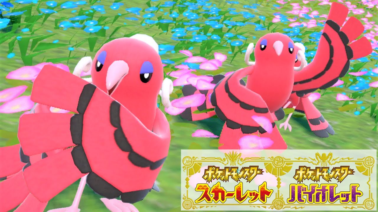 可愛い】オドリドリ(めらめらスタイル)6匹に囲まれて癒されピクニック