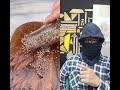 【検証】いいねボタンが白い人だけ！ママの激カワ「イルカチョコ」アイスがもらえる！？🐬🍫