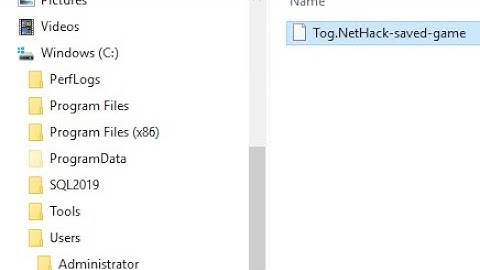 Concise Nethack: Save Scumming