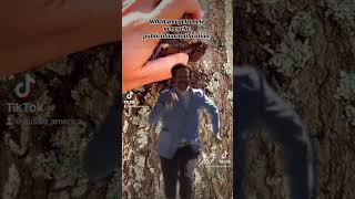 FTF races are real. How many do you have? #geocaching #geocache