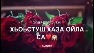 ЧЕЧЕНСКАЯ ПЕСНЯ ХЬОЬСТУШ ХАЗА ОЙЛА СА🤗❤