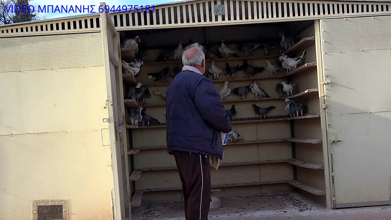 ΣΠΥΡΟΣ ΛΑΡΙΣΑ ΓΟΥΣΤΑΡΕΙ ΚΑΖΑΤΖΙΔΗ ΚΑΙ ΒΟΥΤΕΣ ΠΑΛΙΑΚΕΣ 2019