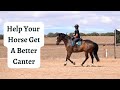 Training A Horse To Get A Better Canter