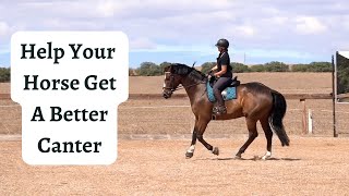 Training A Horse To Get A Better Canter