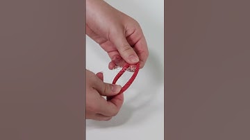 The Science of Rubber Band Elasticity!