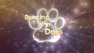 American Snoot - Dancing With Dogs