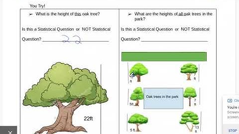 Identifying Statistical Questions Video Lesson