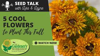 Seed Talk #146 - 5 Cool Flowers to Plant This Fall