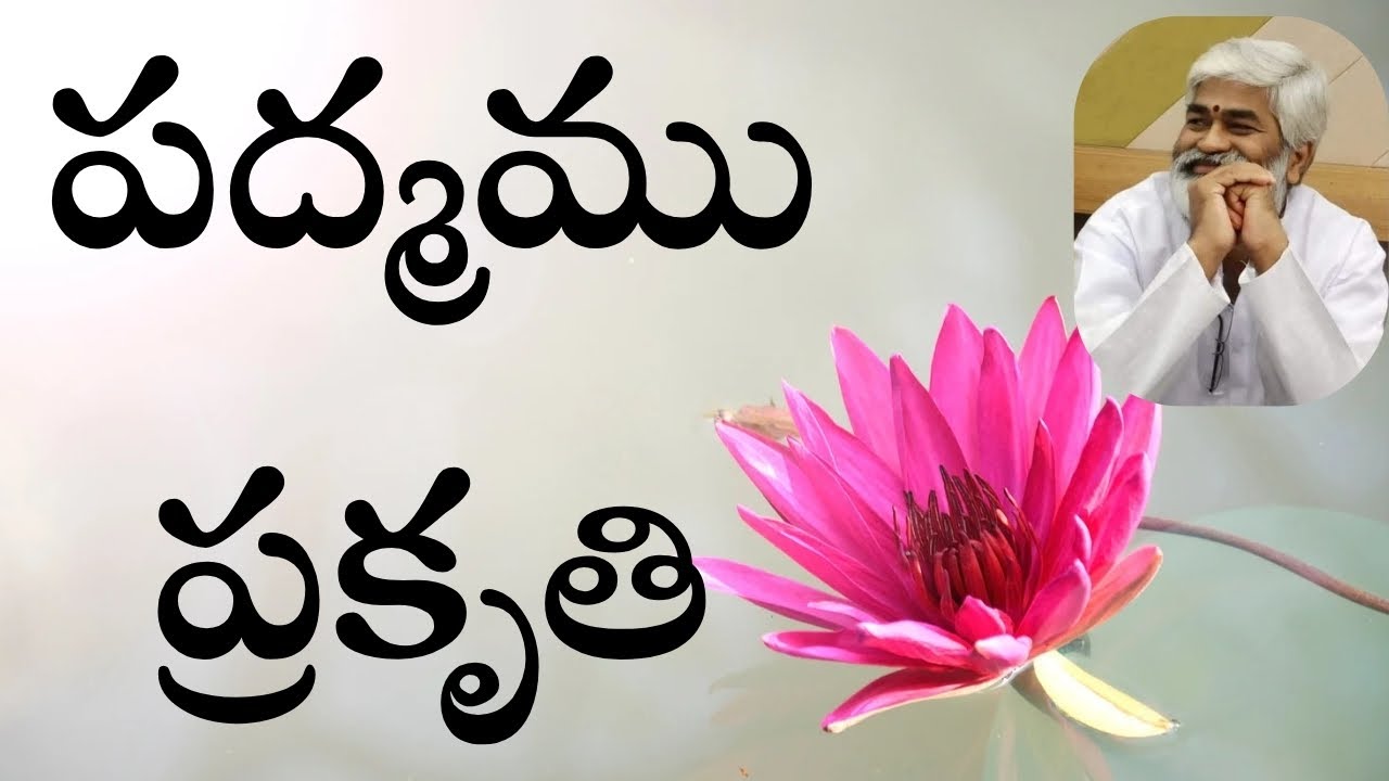 పద్మము అమ్మవారి స్వరూపం గా ఎలా ఉంటుంది 