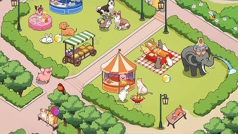 brainy prankster level 6 Find the special animals