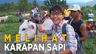 Menonton karapan sapi di tempat ini sangatlah seru | JELAJAH
