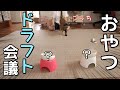 猫にお祝いのプレゼントを選んで貰ったらまさかの結果に…