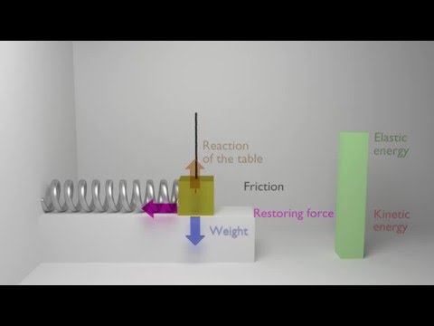 Animation of a damped harmonic oscillator (physics, mechanics)