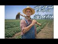 حل نصوص نثرية متحررة على نص اللغة والمجتمع كتاب الامتحان ـ الصف الثانى الثانوى ـ الترم الثانى 2026 