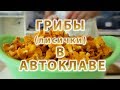 Грибы в автоклаве