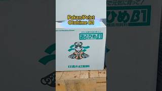 Pakanpelet Otohime B1