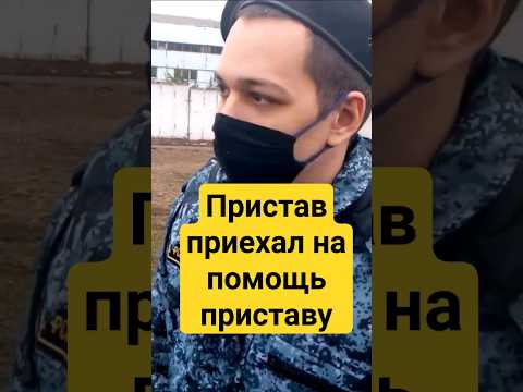 Пристав приехал на помощь приставу и взял понятого юрист Вадим Видякин