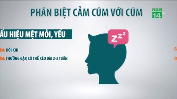 VTC14 | Cách phân biệt cảm cúm với bệnh cúm