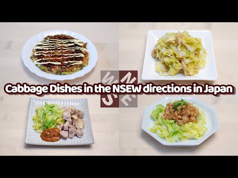 Local Dishes with Cabbage in NSEW Directions in Japan