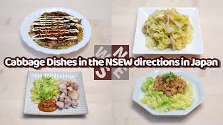 Local Dishes with Cabbage in NSEW Directions in Japan