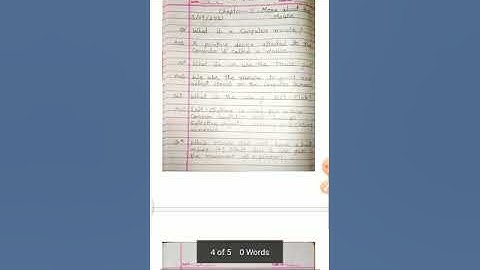 Computer chapter 5 more about mouse question and answer