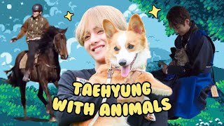 kim taehyung, a true animal lover