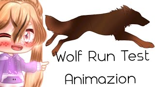 || Wolf Run Test Animazion ||. . . . .