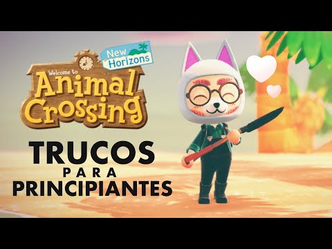 Trucos, consejos y curiosidades sobre Animal Crossing: New Horizons | Happip