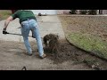 Most Satisfying Yard Cleanup Ever 😮💨🌿