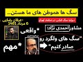 مشاور احمدی نژاد سگ ها رو صادر کنیم پاسخ به عبدالرضا داوری کشتار سگ ها در گندک دماوند پیشنهاد من مشاور احمدی نژاد سگ ها رو صادر کنیم پاسخ به عبدالرضا داوری کشتار سگ ها در گندک دماوند پیشنهاد من