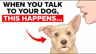 If You Talk to Your Dog Every Day, This Is What You're Doing to Their Brain If You Talk to Your Dog Every Day, This Is What You're Doing to Their Brain