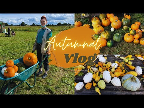 Pumpkin Patch Vlog with my sister | it’s spooky season | Halloween Time In Ireland