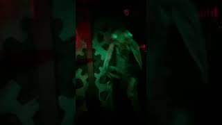 The Fly from Salem, Massachusetts